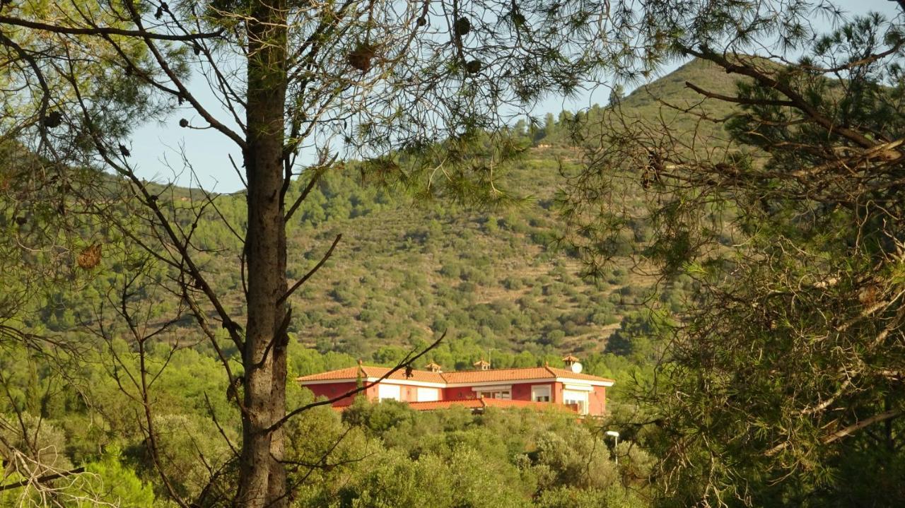 Apartmán L'Albaida, Tranquility, Views Of Sea And Mountains Vilanova de Escornalbou Exteriér fotografie