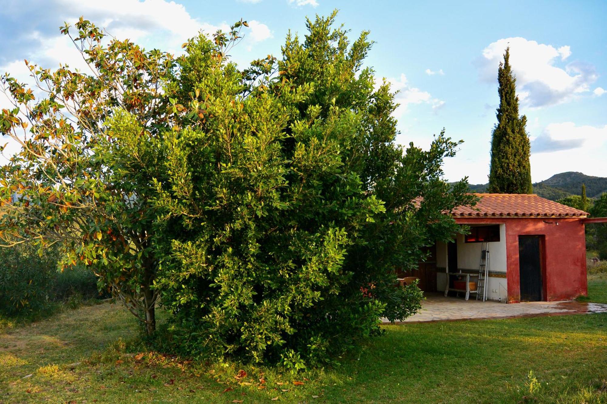 Apartmán L'Albaida, Tranquility, Views Of Sea And Mountains Vilanova de Escornalbou Pokoj fotografie