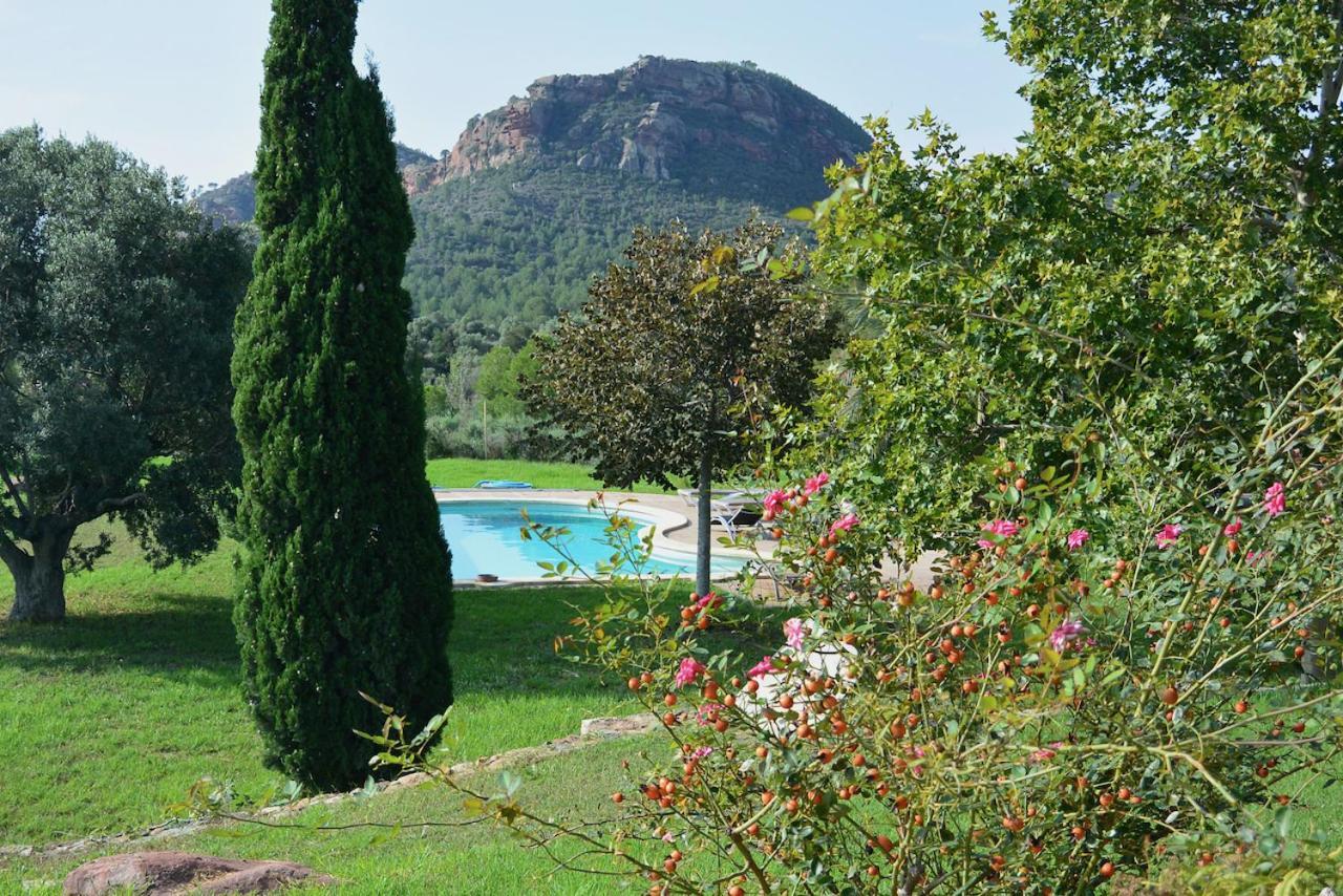 Apartmán L'Albaida, Tranquility, Views Of Sea And Mountains Vilanova de Escornalbou Exteriér fotografie